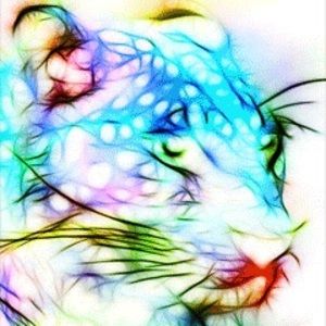 Meet your Posher, Bennett